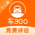车300 wechatShareImg