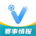 V站 icon