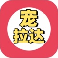 宠拉达 icon