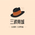 三波商城 icon