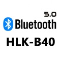 HLK-B40 wechatShareImg