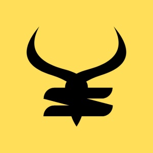 记账王 icon