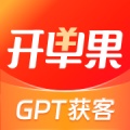开单果 icon