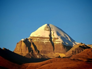 知伴 wechatShareImg