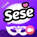 SeSe的圖標