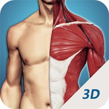 3D透视 wechatShareImg