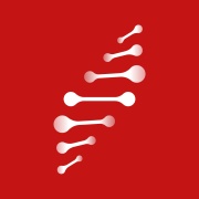 两个至上 icon