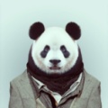 兰盛OneSport wechatShareImg