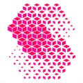 追尚 icon
