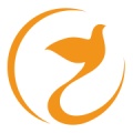 喜鹊喜报Pro icon