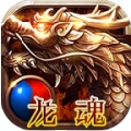 龙魂光明[苹果端] wechatShareImg