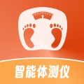 智能体测仪 значок