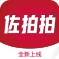 佐拍拍 icon