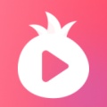 金石榴 icon