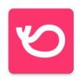 灰豚数据ikona