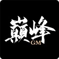 巅峰GM icon