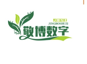 敬博数字科技 icon