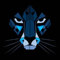 Cheetah Charge wechatShareImg