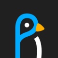 pico+ wechatShareImg