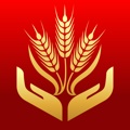 GradLife icon