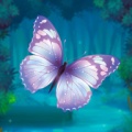 小蝴蝶 wechatShareImg