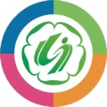 复式统计表 icon