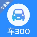 车300专业版 icon