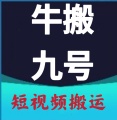 牛搬九号 icon