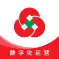 数字化运营 icon