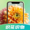 花卉识别图鉴ikona