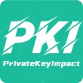 PrivateKeyImpact значок