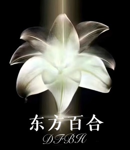 东方百合商城 wechatShareImg