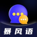 暴风语 icon