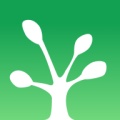 TreeDiary icon