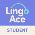 LingoAce的圖標