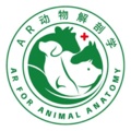 AR动物解剖学 wechatShareImg