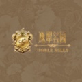 逸翠名园 icon