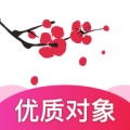 梅花婚恋 icon