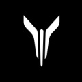 岚图汽车 icon