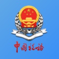 新疆税务 значок