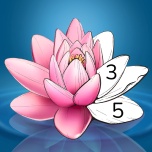 Zen Color wechatShareImg