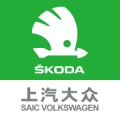 斯柯达 icon