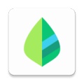 Sprouts的图标