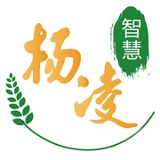 智慧杨凌 icon