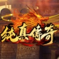 纯真传奇 icon
