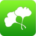 银杏 wechatShareImg