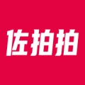 佐拍拍de l'icône