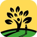 太阳树 icon