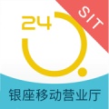 银座银行 значок