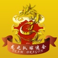 龙之队体育 значок